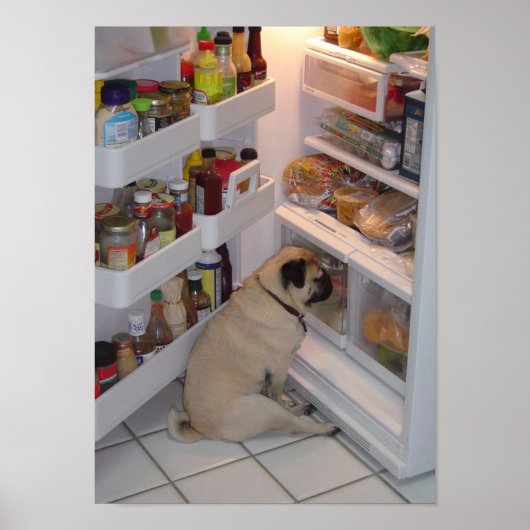 Howie Pee Pugpants Raids the Fridge Poster (Voorkant)