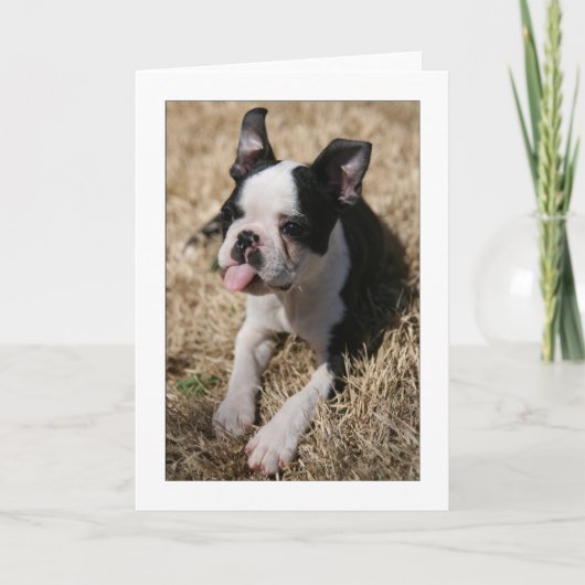 Howie plakt uit Zijn Tong Kaart (Voorkant)