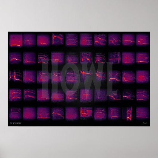 Howl: De geheime taal van de wolven Poster (Voorkant)