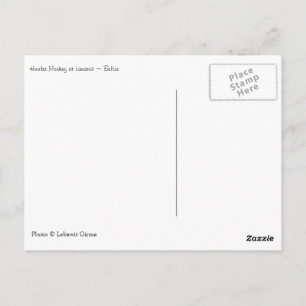 Howler Monkey, Belize Briefkaart