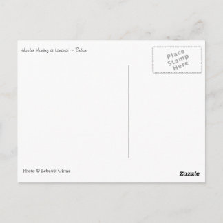 Howler Monkey, Belize Briefkaart