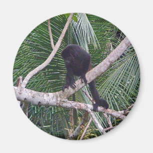 Howler Monkey en Baby Monkey in Costa Rica Oerwoud Magneet