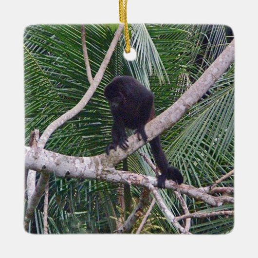 Howler Monkey en Baby Monkey in het Costa Rica-Oer Keramisch Ornament (Voorkant)