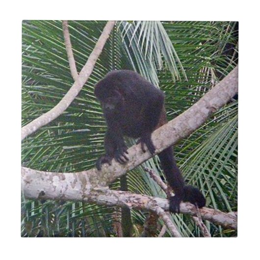 Howler Monkey en Baby Monkey in het Costa Rica-Oer Tegeltje (Voorkant)