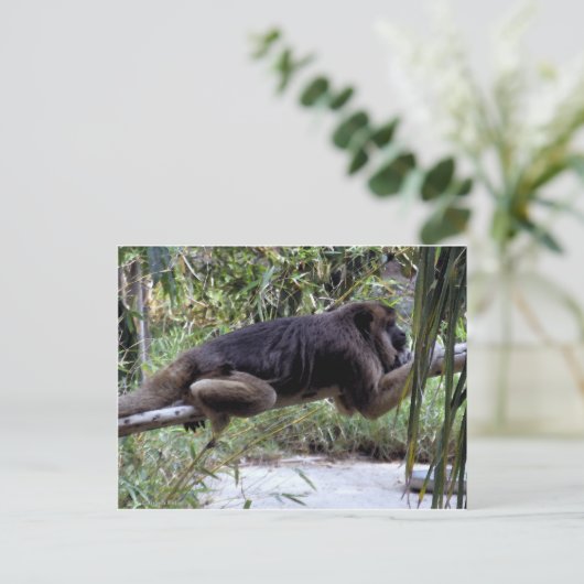 Howler Monkey Hangout Briefkaart (Staand voorkant)