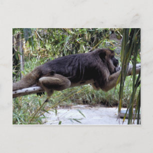 Howler Monkey Hangout Briefkaart