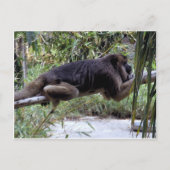 Howler Monkey Hangout Briefkaart (Voorkant)