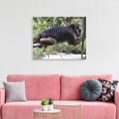 Howler Monkey Hangout Canvas Afdruk (Insitu (Woonkamer))