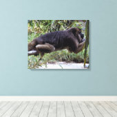 Howler Monkey Hangout Canvas Afdruk (Insitu (Houten vloer))