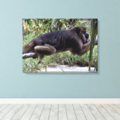Howler Monkey Hangout Canvas Afdruk (Insitu (Houten vloer))