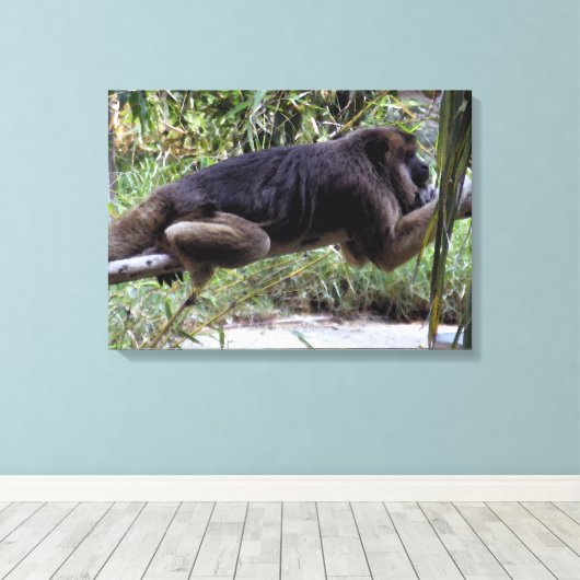 Howler Monkey Hangout Canvas Afdruk (Insitu (Houten vloer))