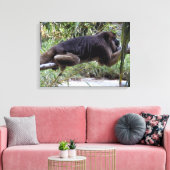 Howler Monkey Hangout Canvas Afdruk (Insitu (Woonkamer))