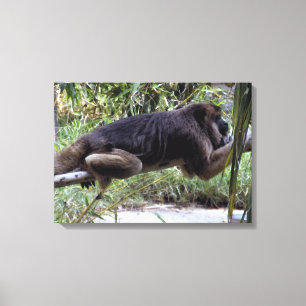 Howler Monkey Hangout Canvas Afdruk