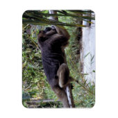 Howler Monkey Hangout Magneet (Verticaal)