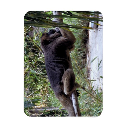 Howler Monkey Hangout Magneet (Verticaal)