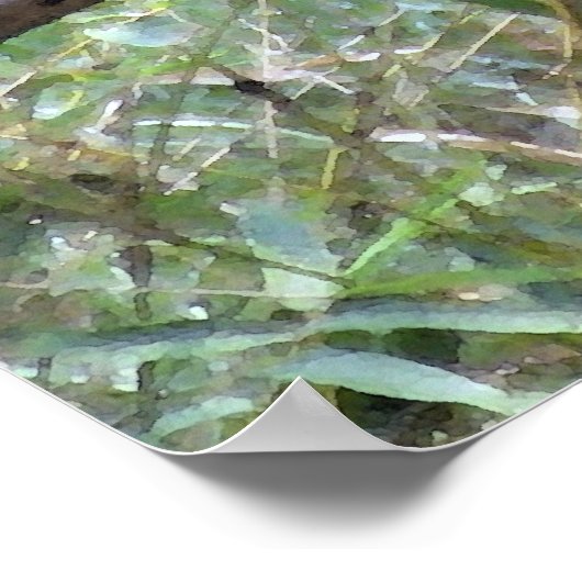 Howler Monkey Hangout Poster (Hoek)