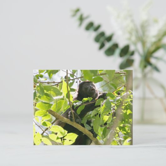 Howler Monkey in het Oerwoud Foto Briefkaart (Staand voorkant)