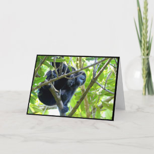 Howler Monkeys Gevouwen Wenskaart Bedankkaart