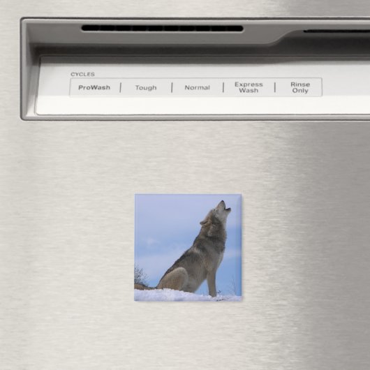 Howling Alaskan Timber Wolf Magneet (Insitu (Vaatwasser))