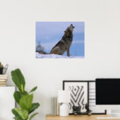 Howling Alaskan Timber Wolf Poster (Thuiskantoor)