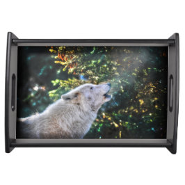 Howling Arctic Wolf Wildlife Natuur Foto Dienblad