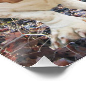 Howling Basset Hound Woodland Poster (Hoek)