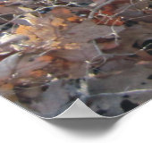 Howling Beagle & Beagle Buddy in Bossen Poster (Hoek)