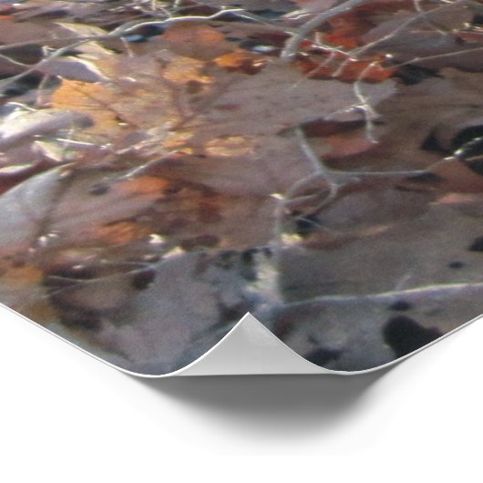 Howling Beagle & Beagle Buddy in Bossen Poster (Hoek)