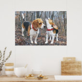 Howling Beagle & Beagle Buddy in Bossen Poster (Keuken)