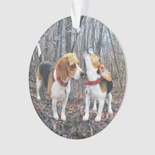 Howling Beagle in Bossen kerstversiering Ornament (voorkant)
