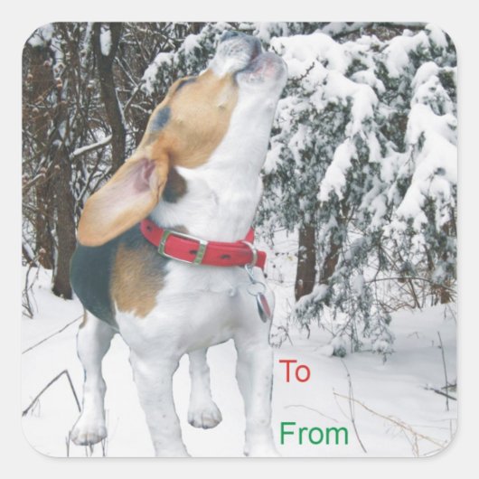 Howling Beagle Snowy Christmas Gift Label Stickers (Voorkant)