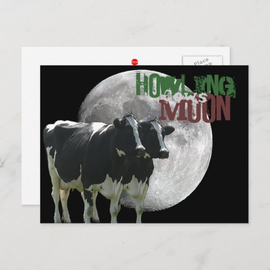 Howling Cows Moon Briefkaart (Voorkant / Achterkant)