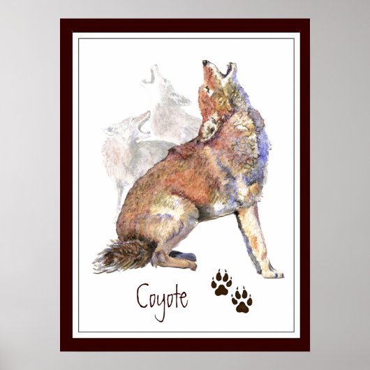 Howling Coyote Animal Natuur Poster (Voorkant)
