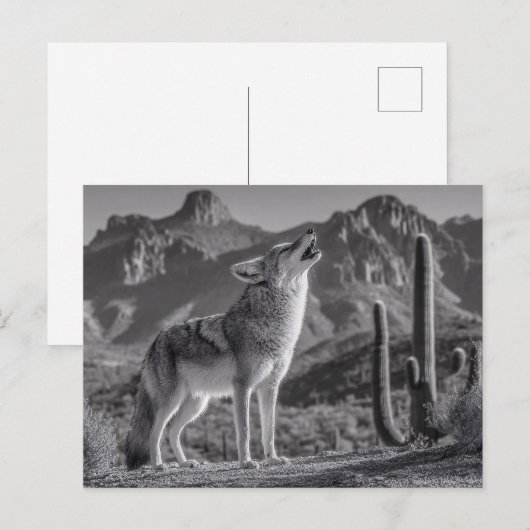 Howling Coyote in Desert Landscape Briefkaart (Voorkant / Achterkant)