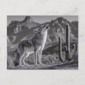 Howling Coyote in Desert Landscape Briefkaart (Voorkant)