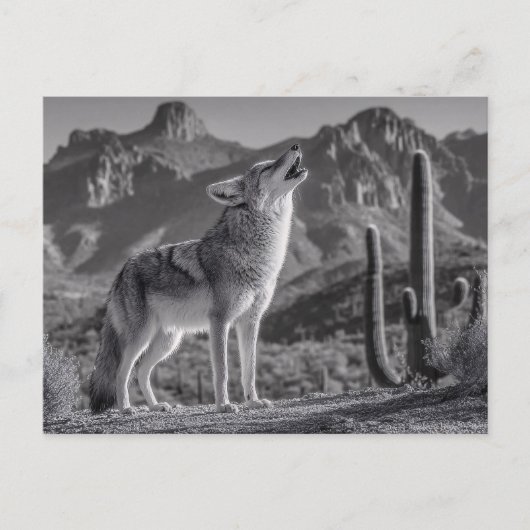 Howling Coyote in Desert Landscape Briefkaart (Voorkant)