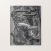 Howling Coyote in het woestijnlandschap Legpuzzel (Verticaal)