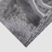 Howling Coyote in het woestijnlandschap Tissuepapier (Detail)