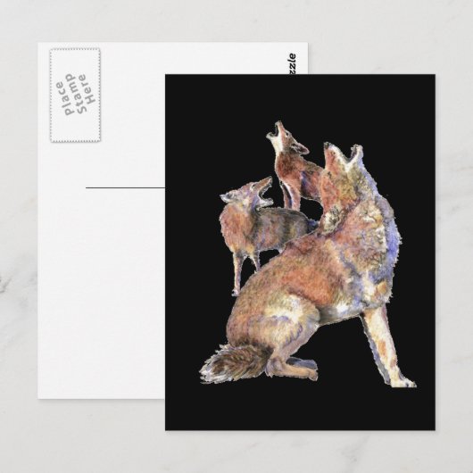 Howling Coyote Pack, Animal, Natuur Wildlife Briefkaart (Voorkant / Achterkant)