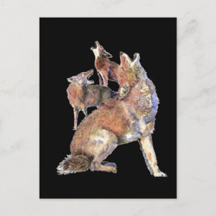Howling Coyote Pack, Animal, Natuur Wildlife Briefkaart