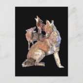 Howling Coyote Pack, Animal, Natuur Wildlife Briefkaart (Voorkant)