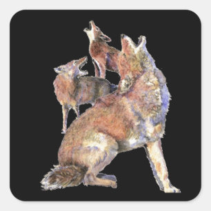 Howling Coyote Pack, Animal, Natuur Wildlife Vierkante Sticker