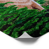 Howling Coyote Poster (Hoek)