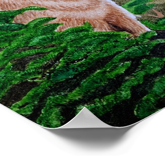 Howling Coyote Poster (Hoek)