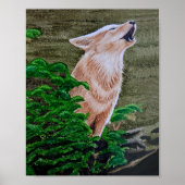 Howling Coyote Poster (Voorkant)