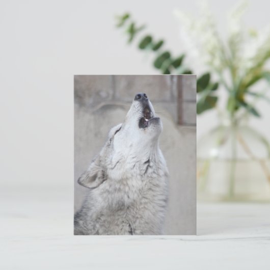 Howling Gray Wolf Briefkaart (Staand voorkant)