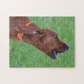 Howling Redbone Coonhound Hunting Dog Legpuzzel (Horizontaal)