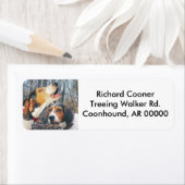 Howling Treeding Walker Coonhound Etiket (Insitu)