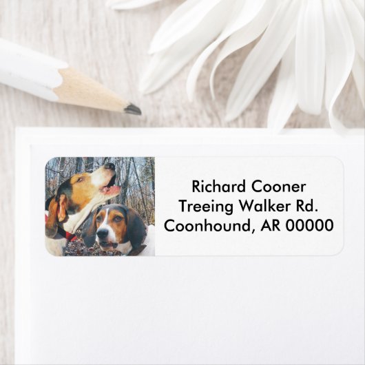 Howling Treeding Walker Coonhound Etiket (Insitu)