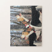 Howling Treeing Walker Coonhounds Legpuzzel (Verticaal)